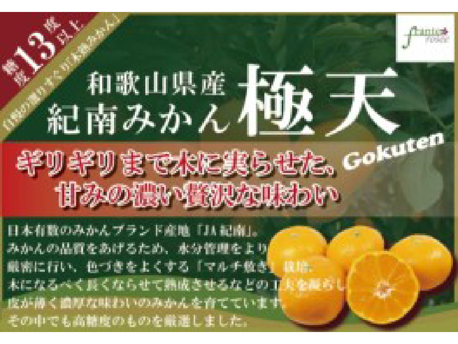 和歌山県産 極天みかん | フランテ