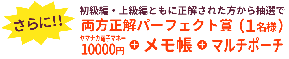さらに、初級編・上級編の両方を正解した方から抽選で1名様に「両方正解パーフェクト賞」！電子マネー10000円・メモ帳・マルチポーチをプレゼント！