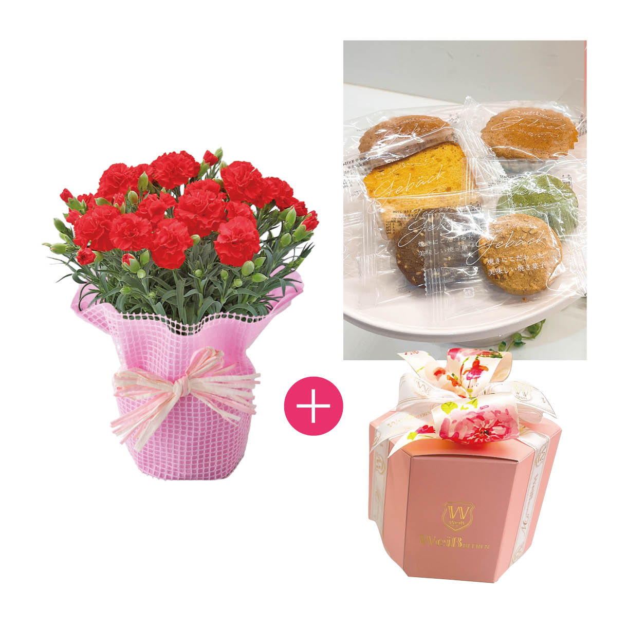カーネーション鉢と「ヴァイスベーレン」ロゼギフト焼き菓子アソート6個入セット