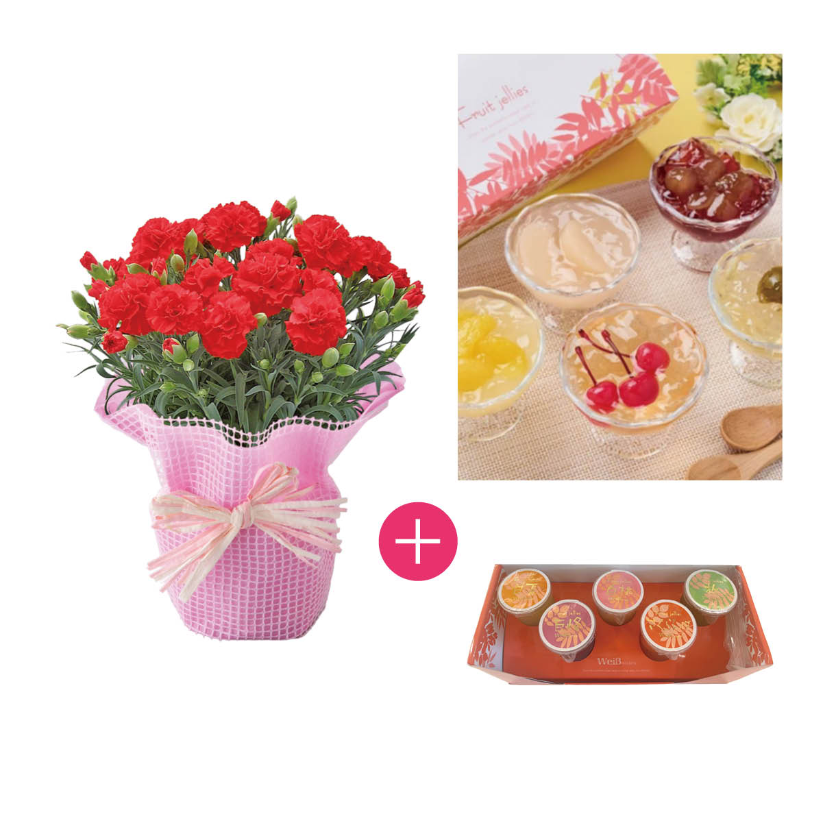カーネーション鉢と「ヴァイスベーレン」フルーツゼリー5個入セット
