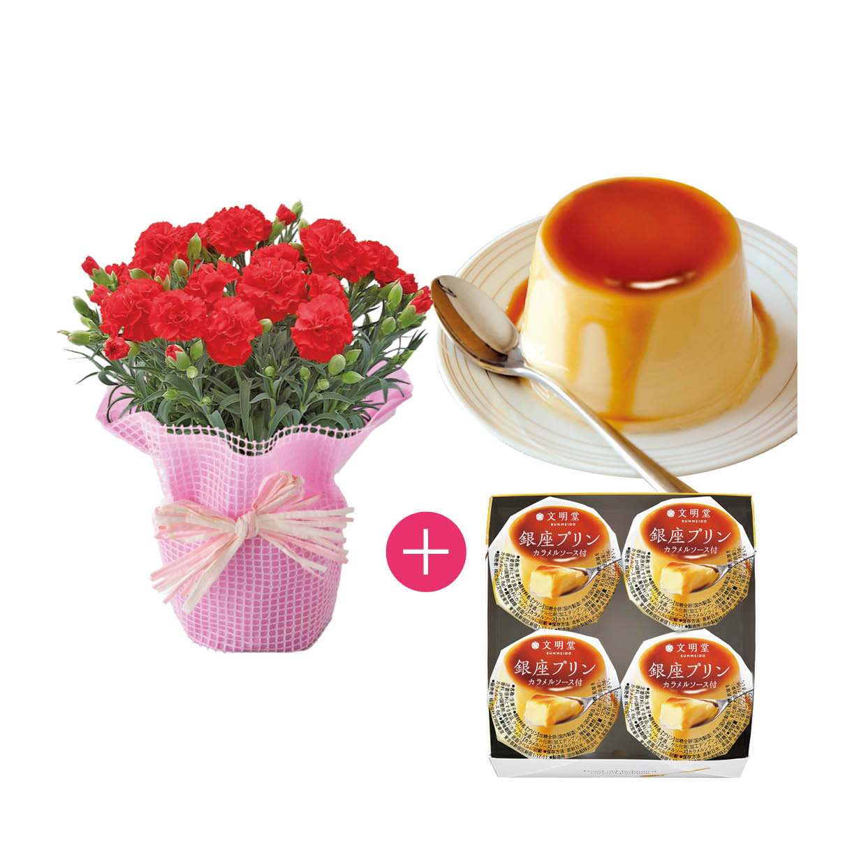 カーネーション鉢と「文明堂」銀座プリン4個入セット