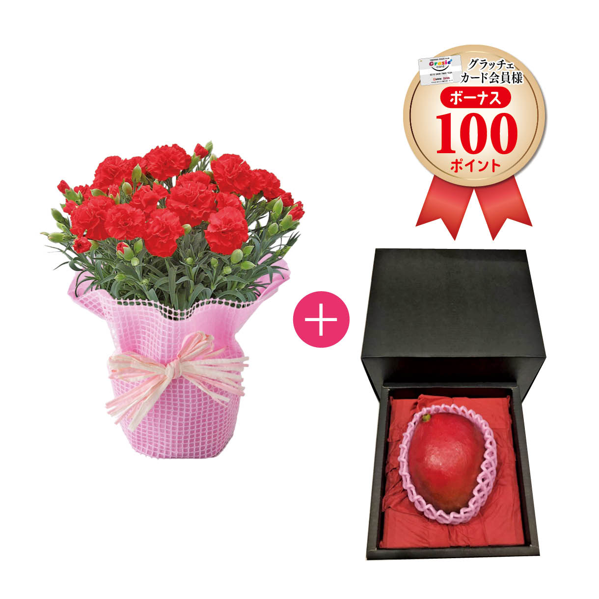 カーネーションブーケと宮崎県産「完熟マンゴー」セット