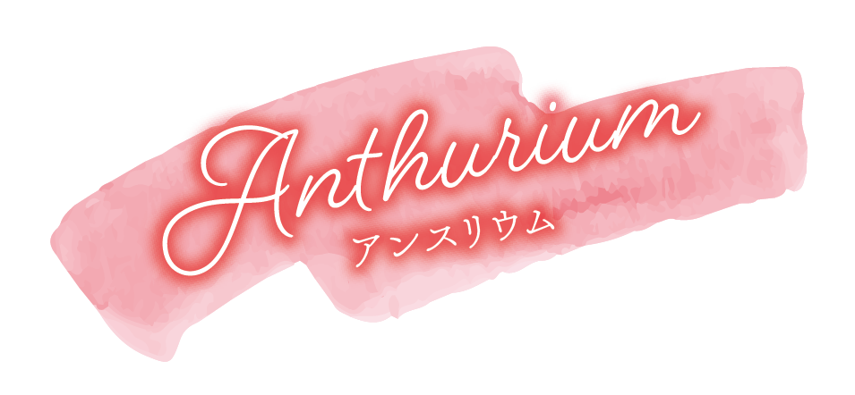 カーネーション