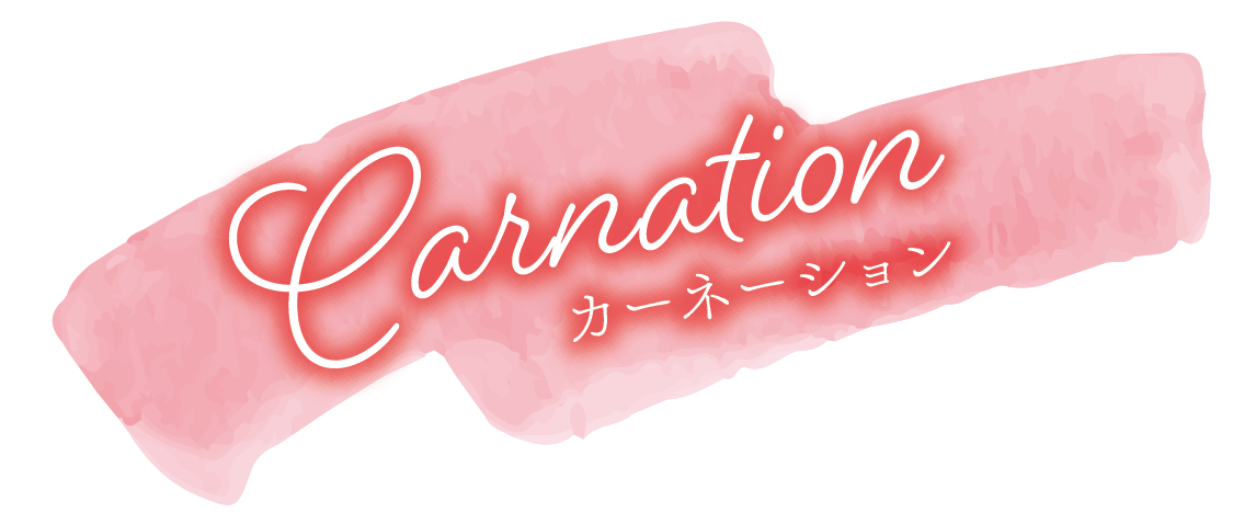 カーネーション